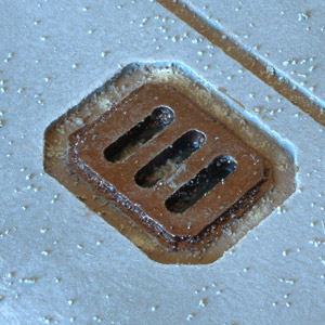 Close-up of a small drain
