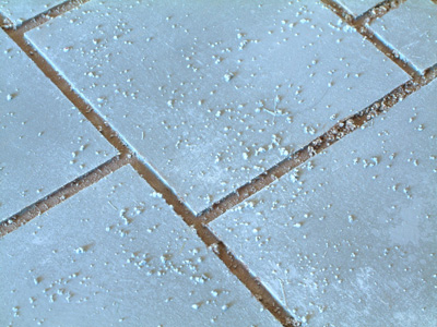 Close-up of a paved part of the terrain